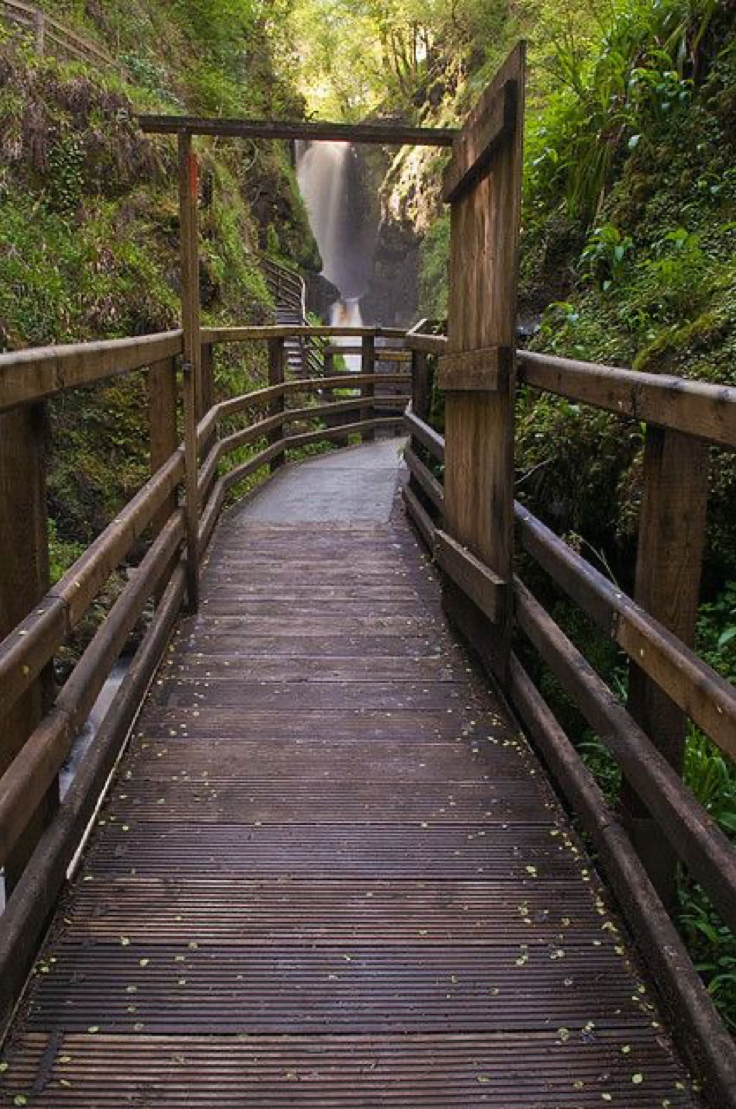The timber walkway leading up to a waterfall in a mossy, ferny glen