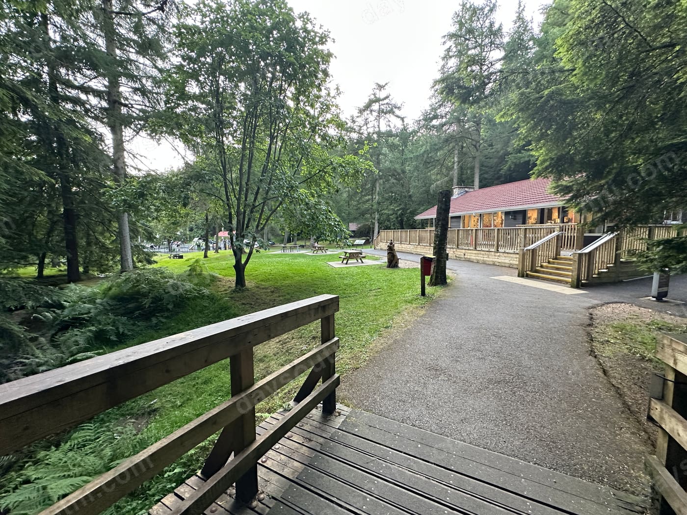 The path from the footbridge to the forest centre café, with picnic tables on the grass and a carved wooden dog.