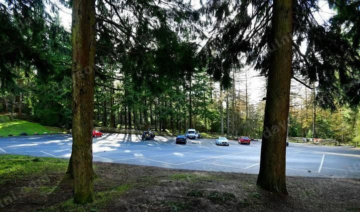 The main Gortin Glen car park, tarmac bays laid out among tall conifers.