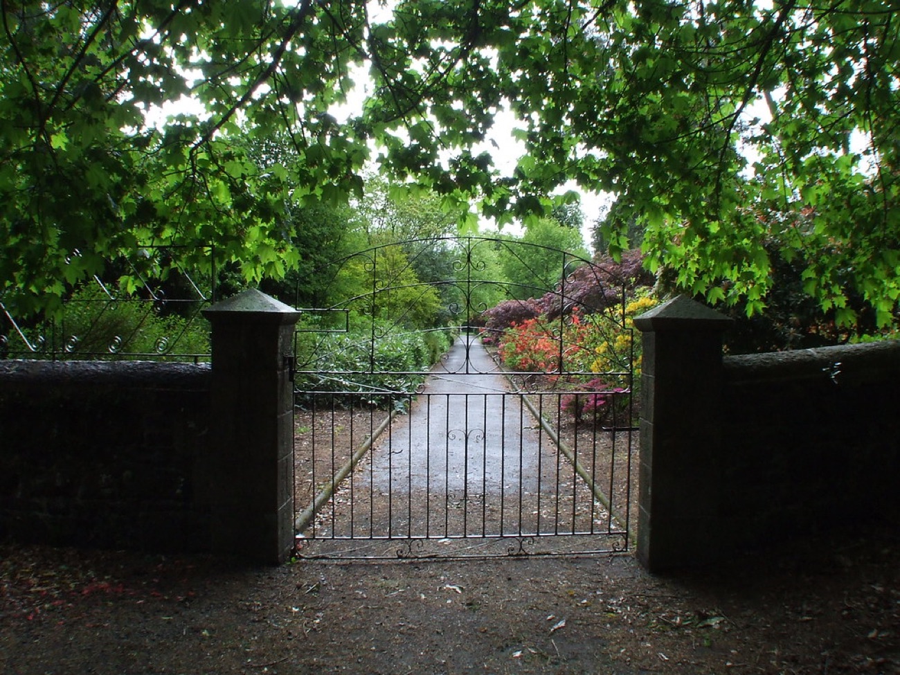 The old iron gates into the walled garden at Gosford Forest Park, a gravel path and beds of shrubs beyond