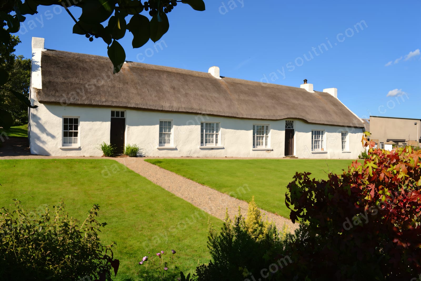 The long low whitewashed thatched cottage of Hezlett House, a gravel path leading up across a green lawn under a blue sky
