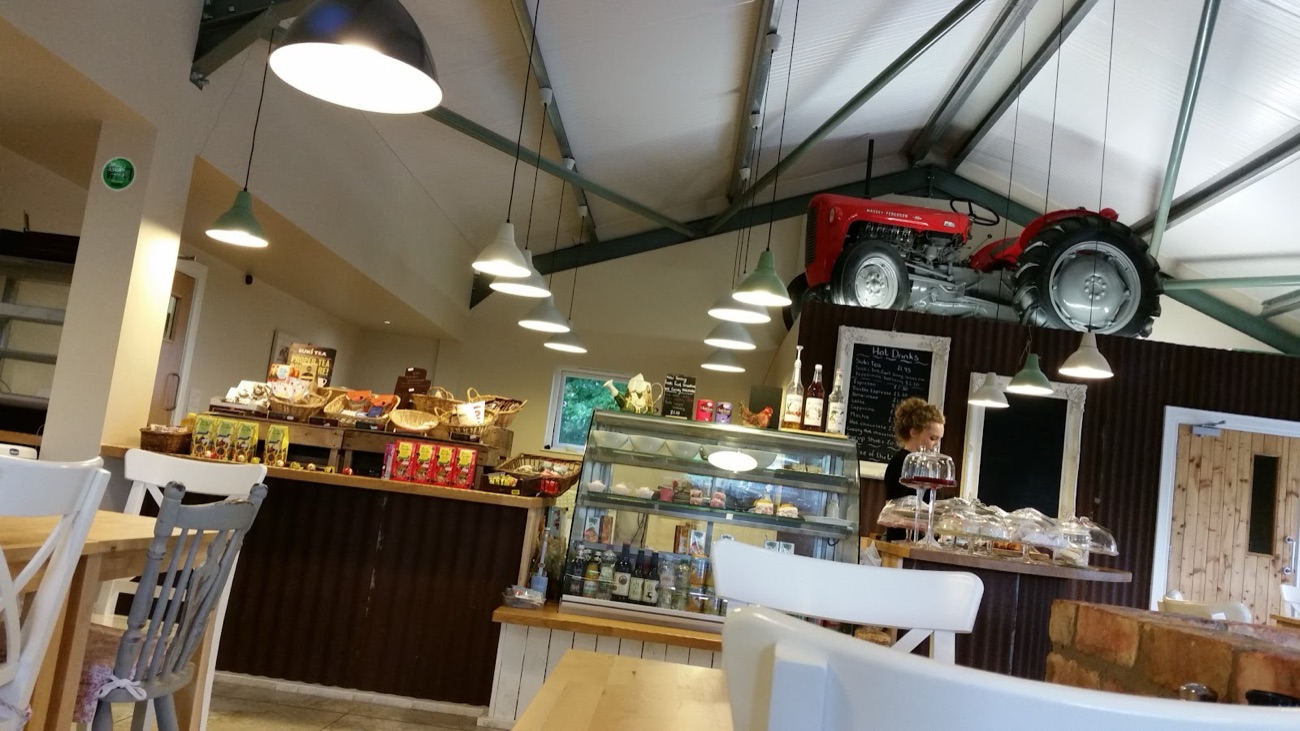 Inside the Hillstown cafe: pale beams, hanging lights and a red tractor mounted high on the wall