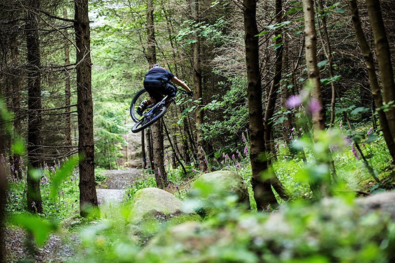 A mountain biker mid-jump on a forest trail among tall conifers and foxgloves at Rostrevor