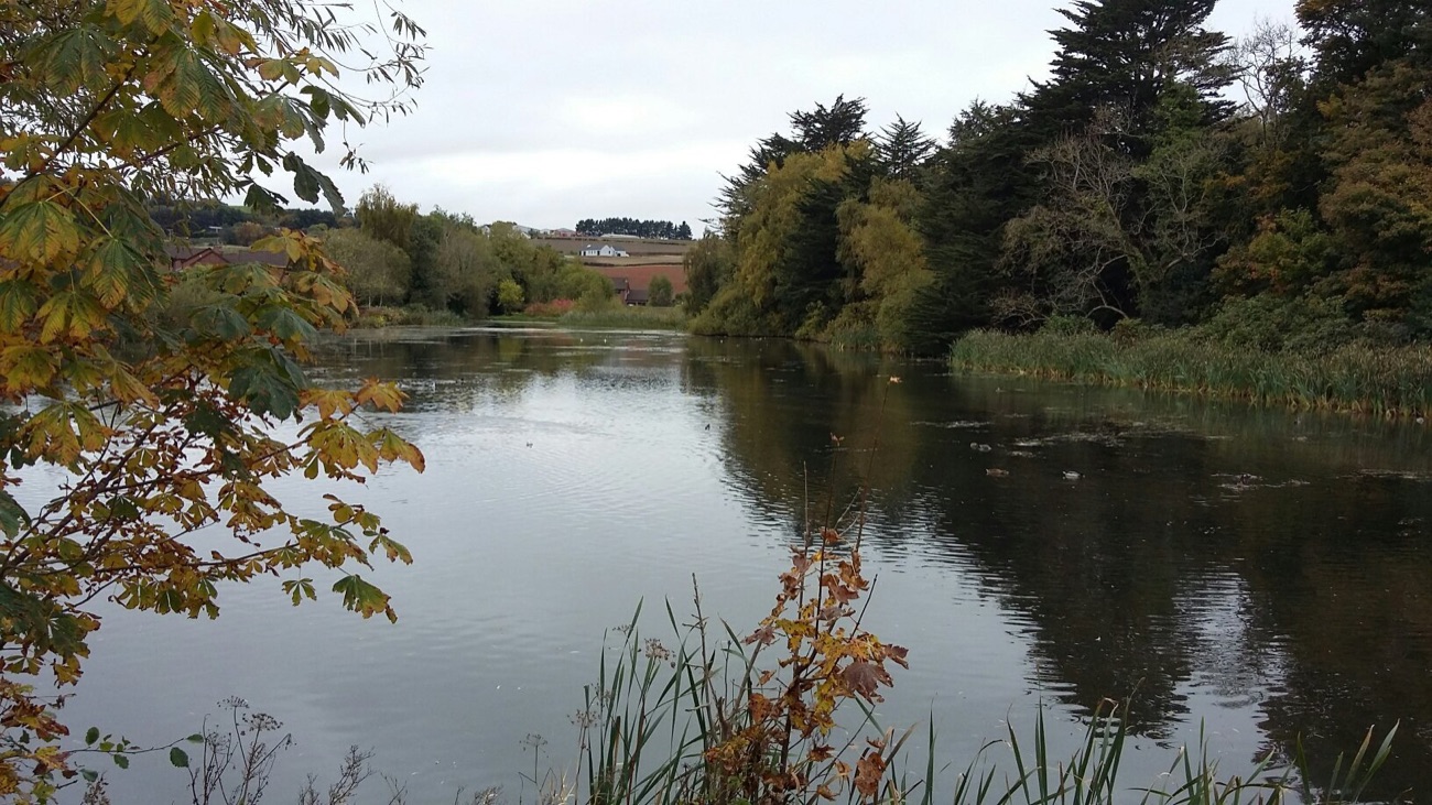 Autumn colour around the water at Kiltonga Nature Reserve