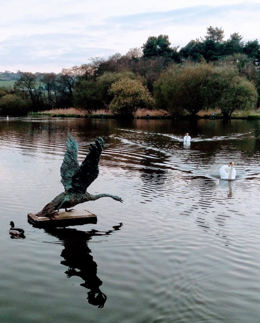 A bronze bird sculpture with wings raised on a raft in the water, with swans swimming behind