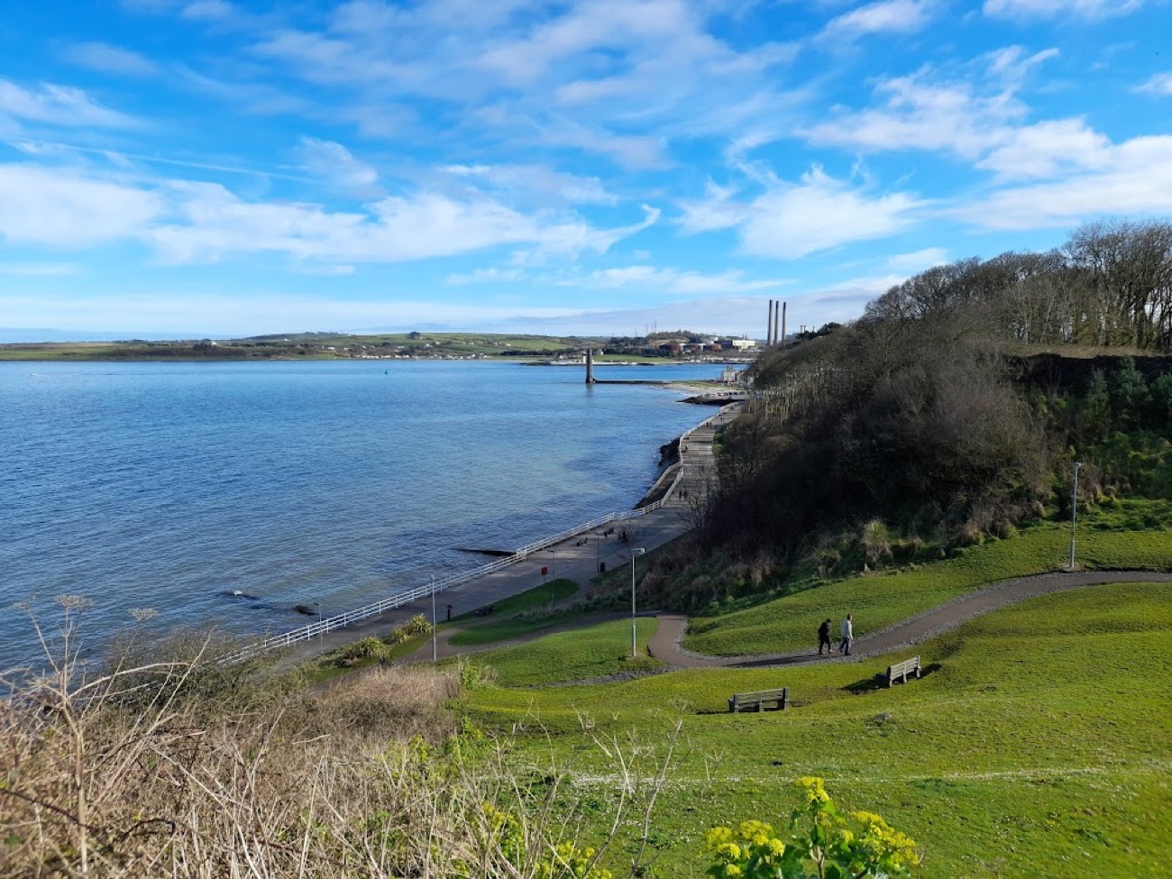 The coast at Chaine Park, Larne, with grass running down to the shore and the sea beyond
