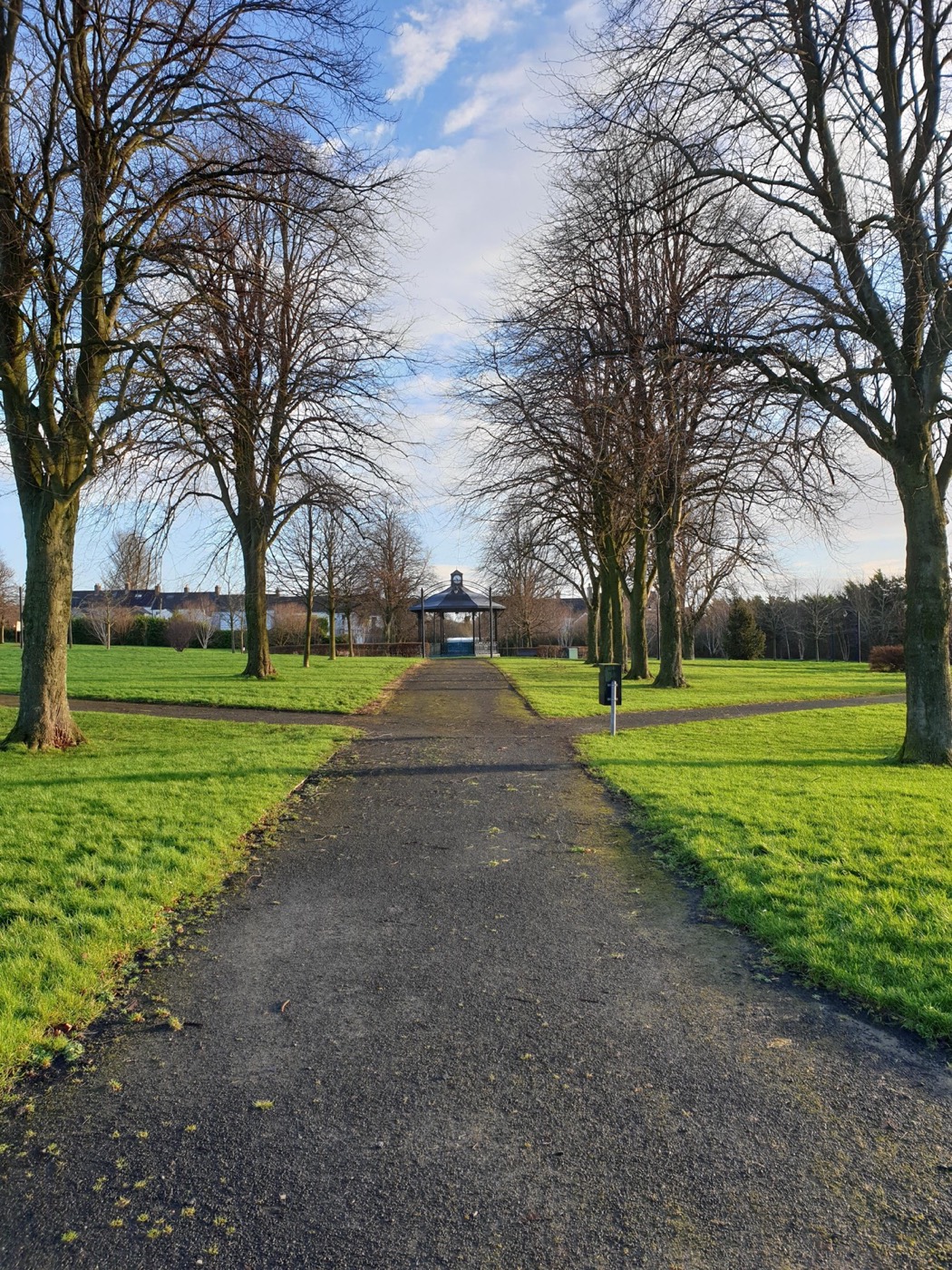 A wide tree-lined avenue running through Larne Town Park towards the bandstand under a blue sky