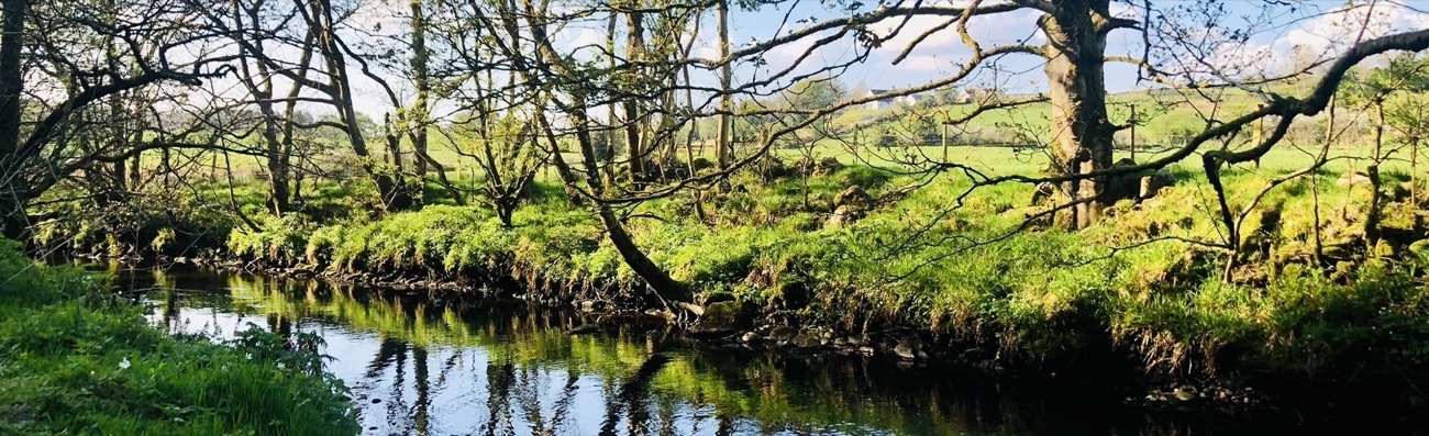 The River Faughan running through green wooded banks in Learmount Forest with the Sperrin hills beyond