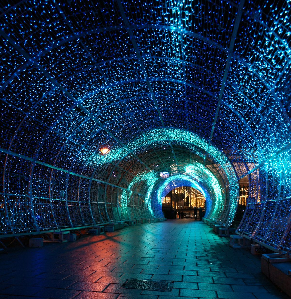 A curved tunnel of blue fairy lights on a Christmas light trail at night