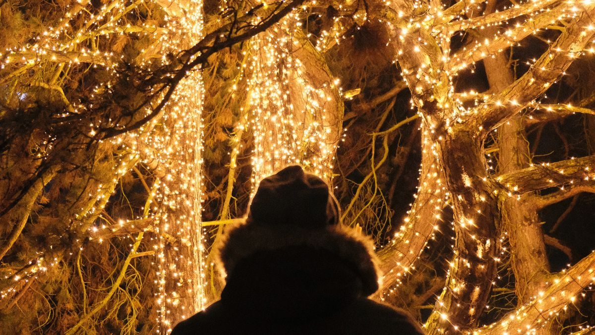 A glowing tunnel of golden lights on a Christmas light trail after dark