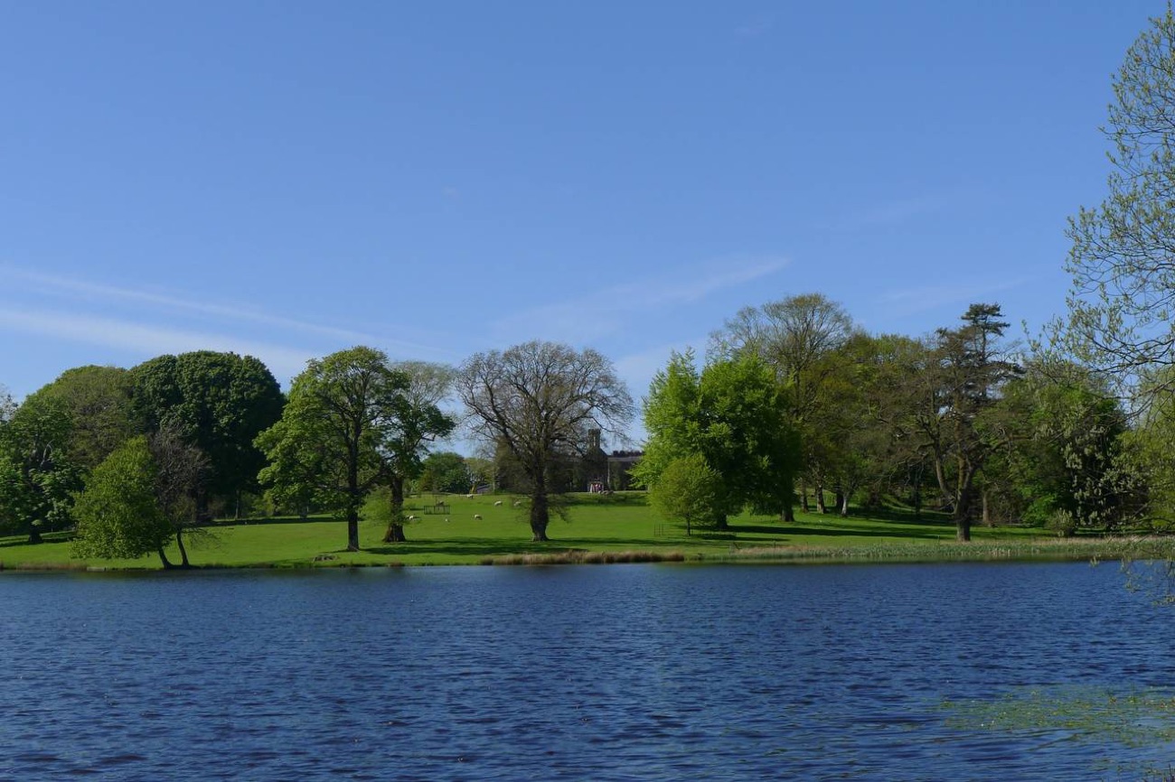 The estate parkland and lake, with mature trees and grazing sheep across the water