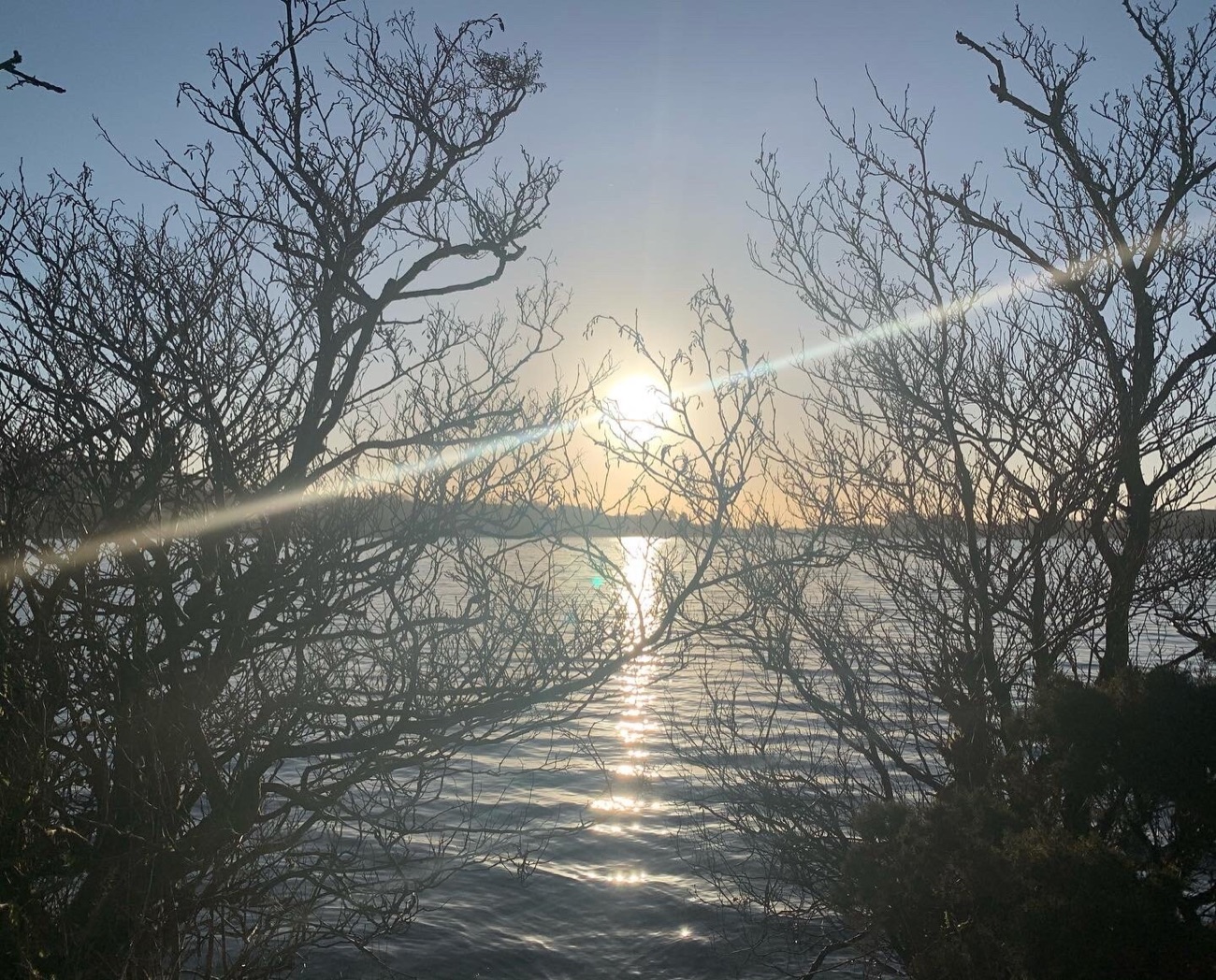 Low winter sun over Lough Fea seen through bare branches