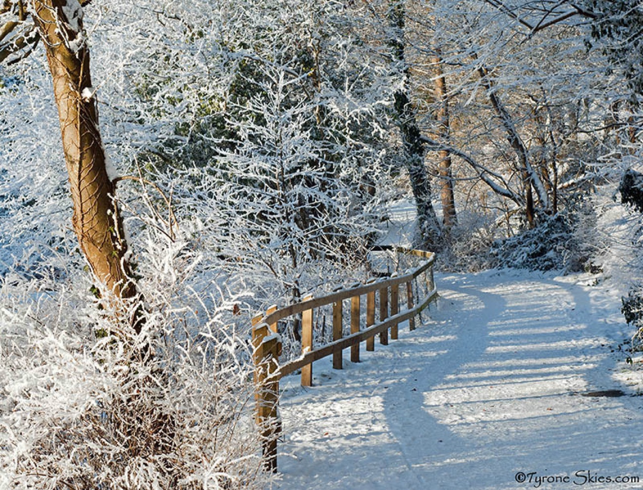 The river at Lover's Retreat in hard frost with the fence and bare trees white with ice