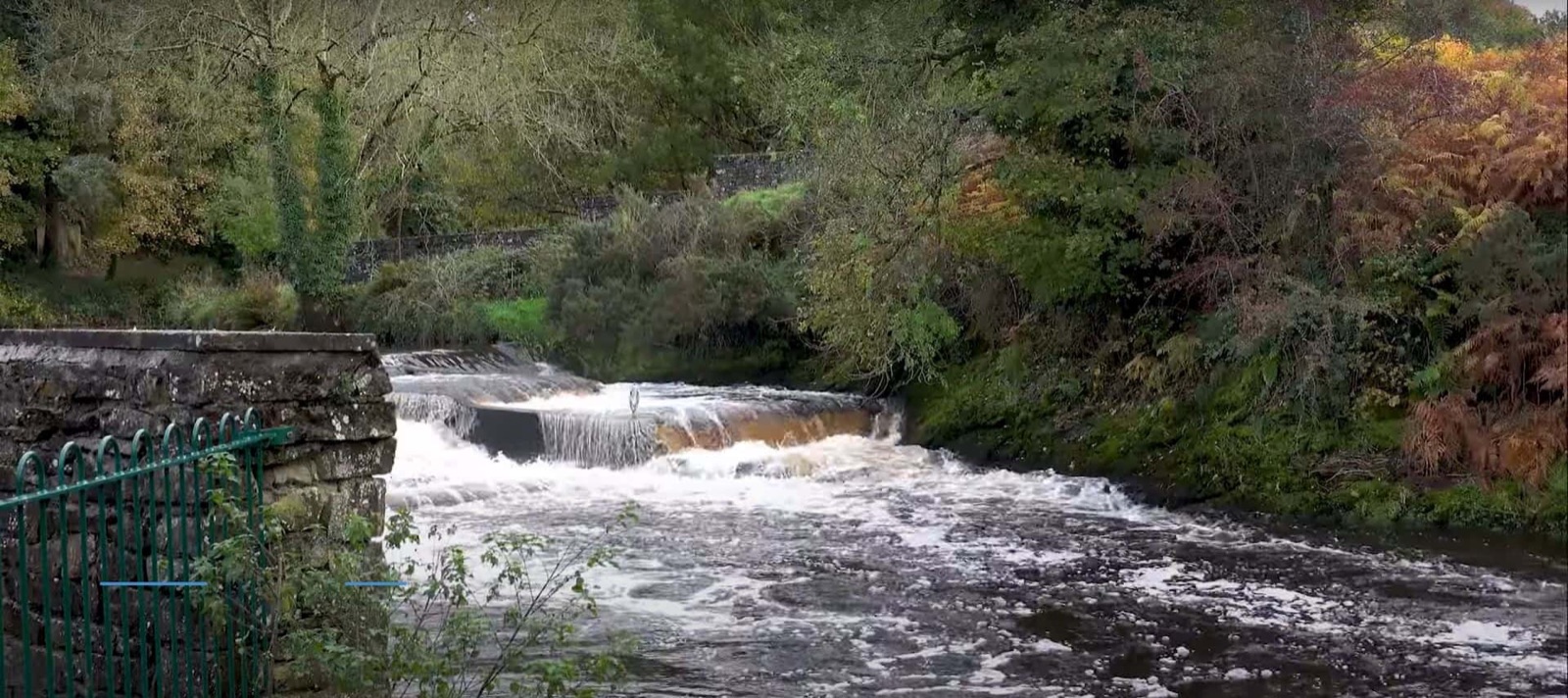 The waterfall on the Camowen at Lover's Retreat running white over the weir between green banks
