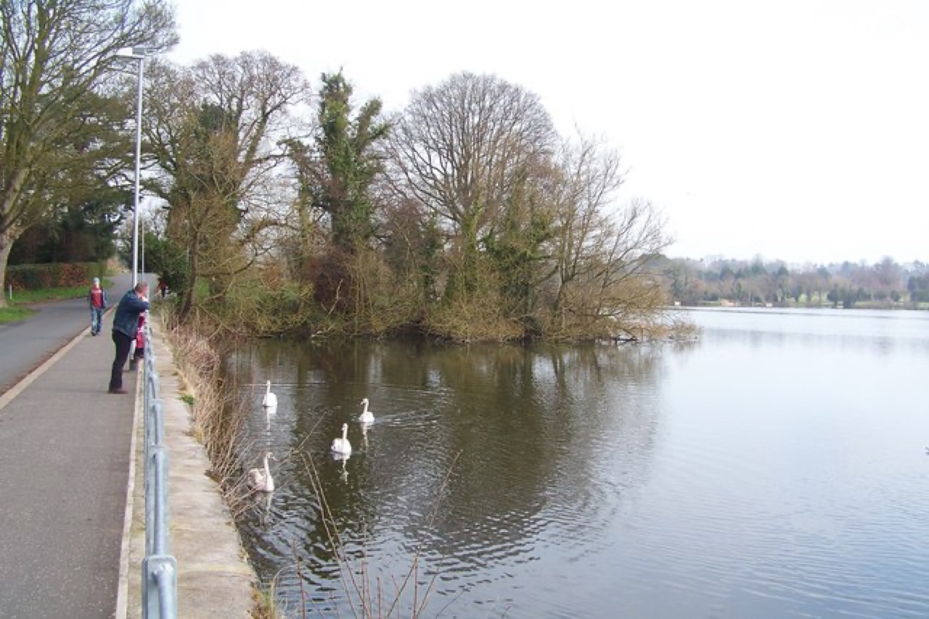 The lake at Lurgan Park with swans