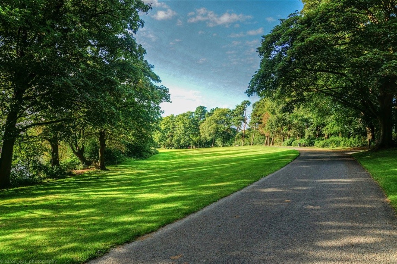 A gravel path running through mown grass and mature trees at Maghery Country Park