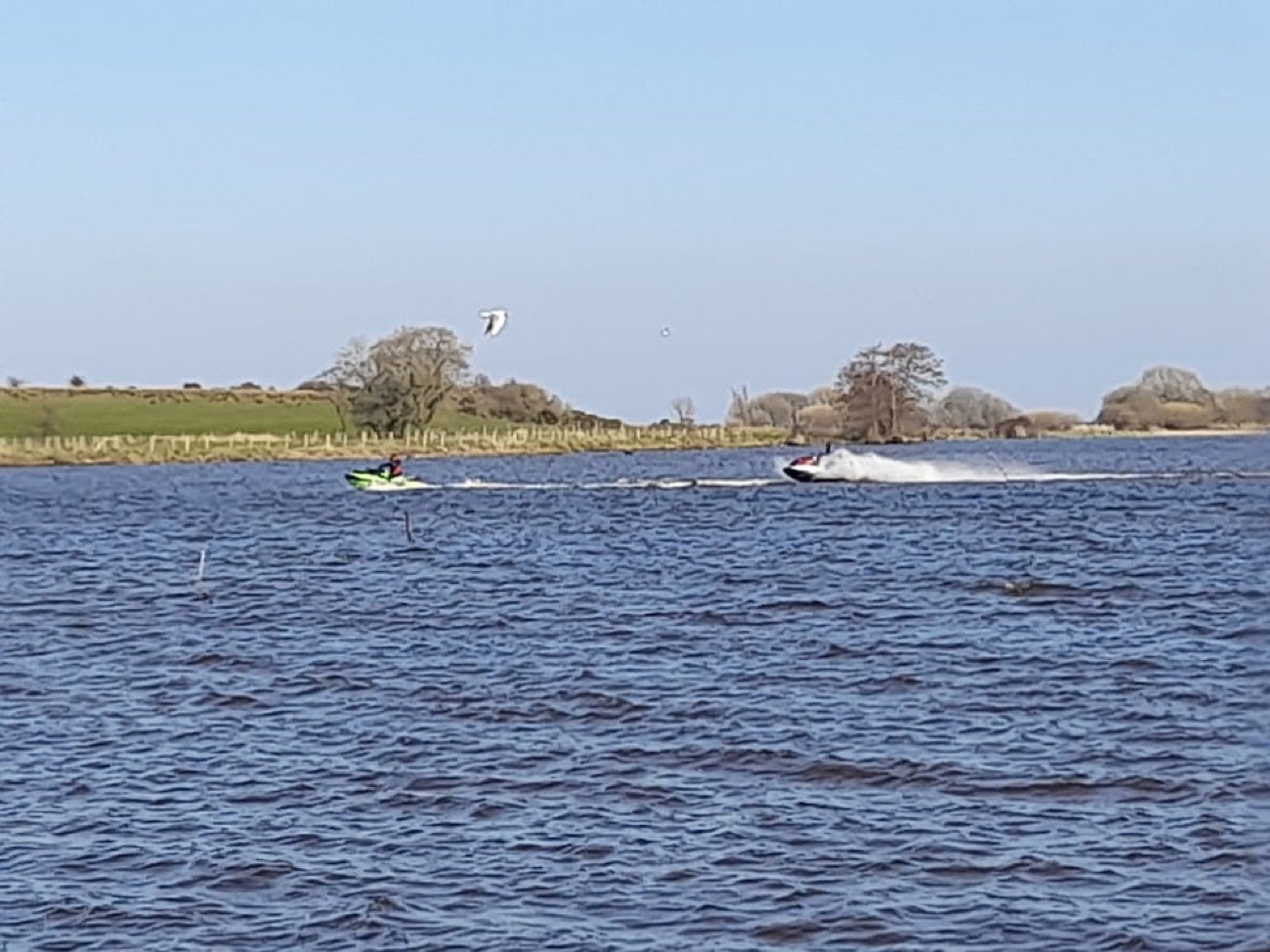 The open water off Maghery with the wooded shape of Coney Island on the horizon