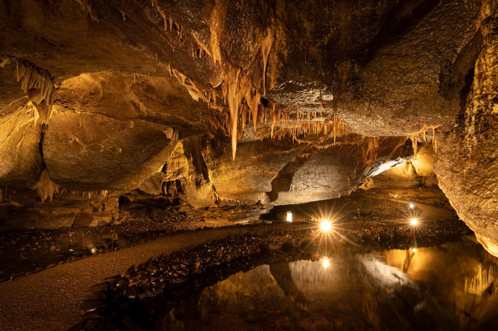 Stalactites reflected in the underground river inside the show cave