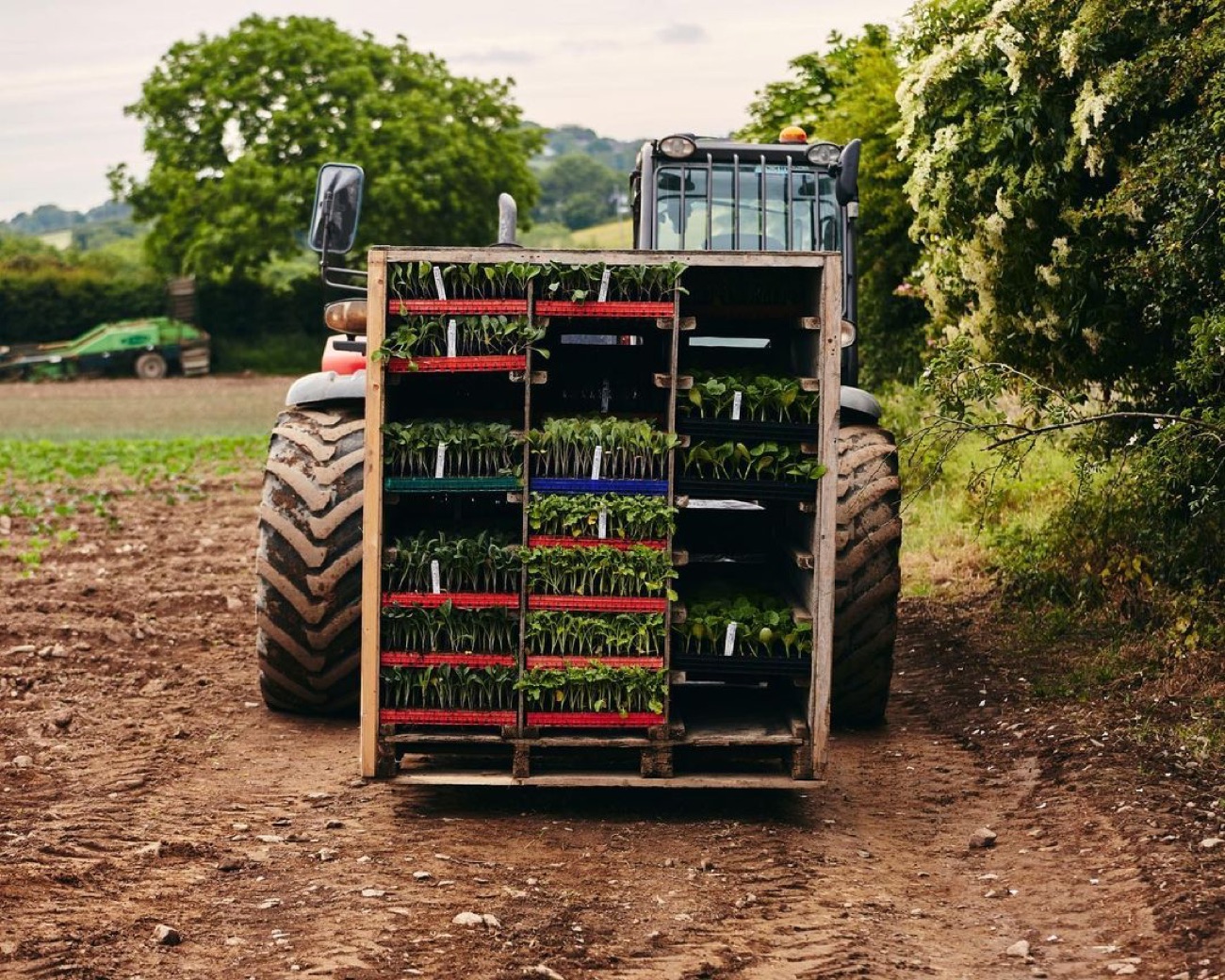 A tractor carrying stacked harvest crates along a field track