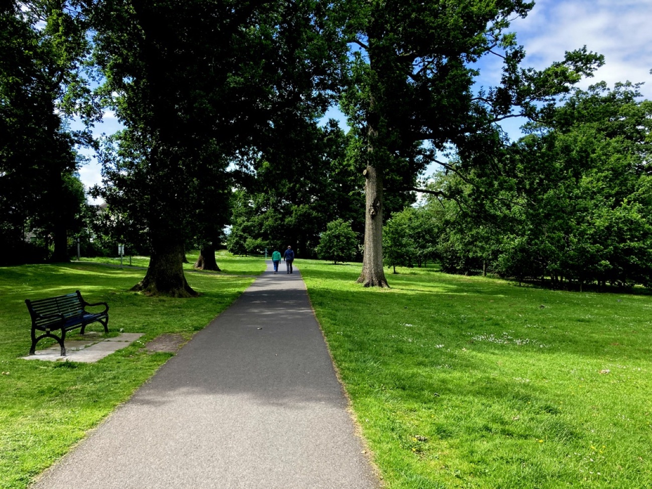 A woodland walking trail with a bench at Moira Demesne