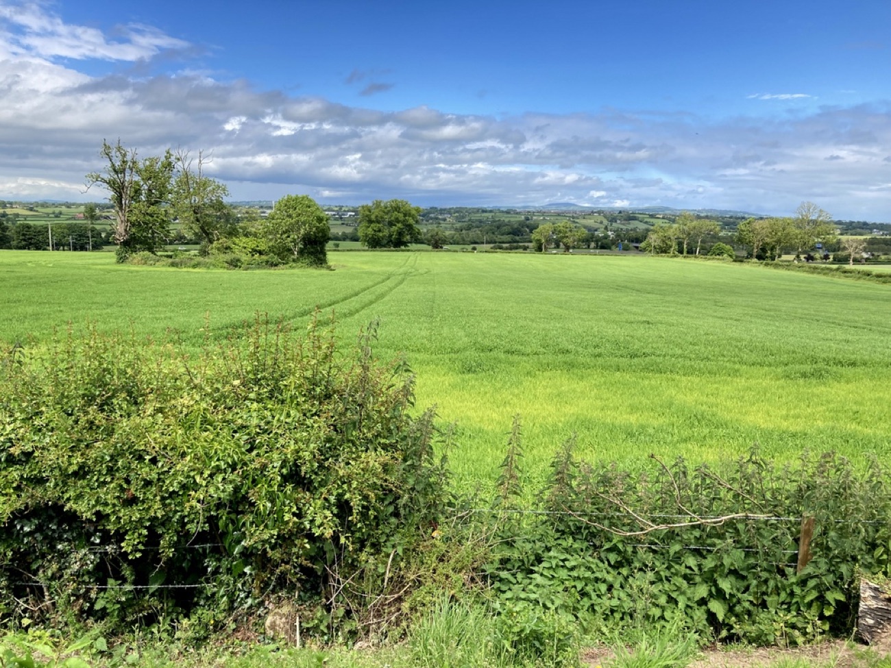 Countryside views over Co. Down from Moira Demesne