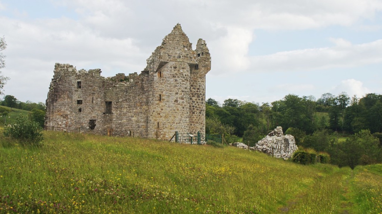 Monea Castle standing in a wildflower meadow with woodland behind and the ruined bawn wall alongside
