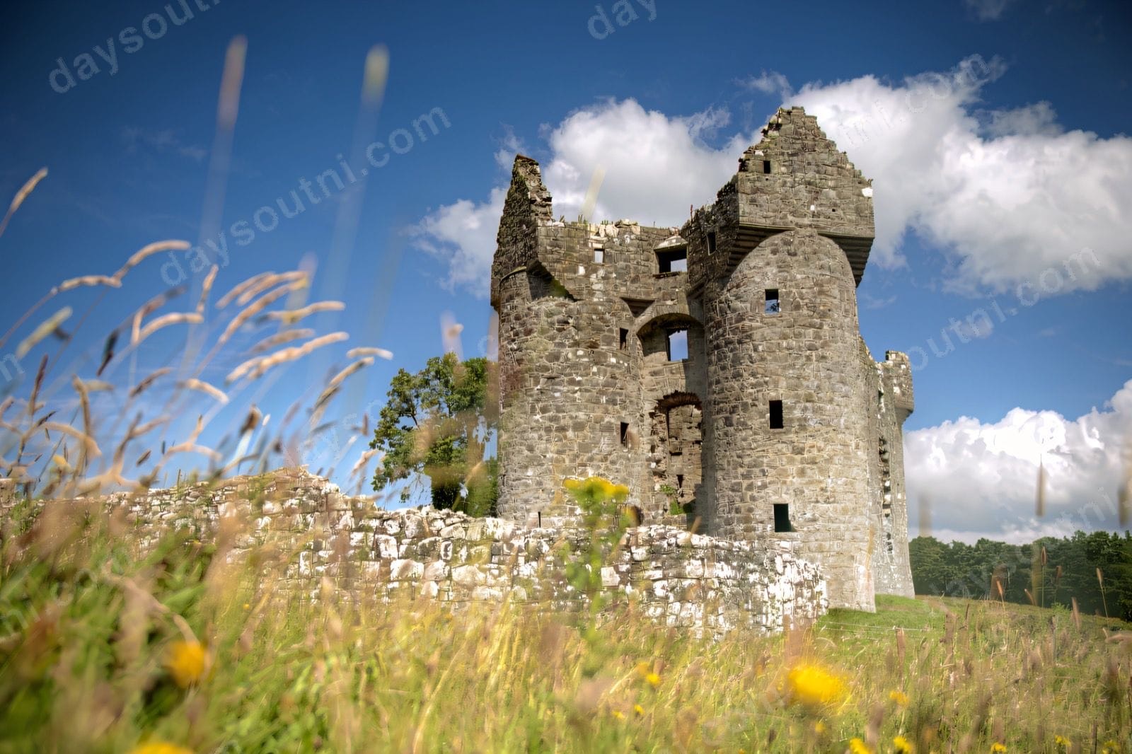 Monea Castle's twin round towers with their corbelled Scottish-style turrets rising above a wildflower meadow