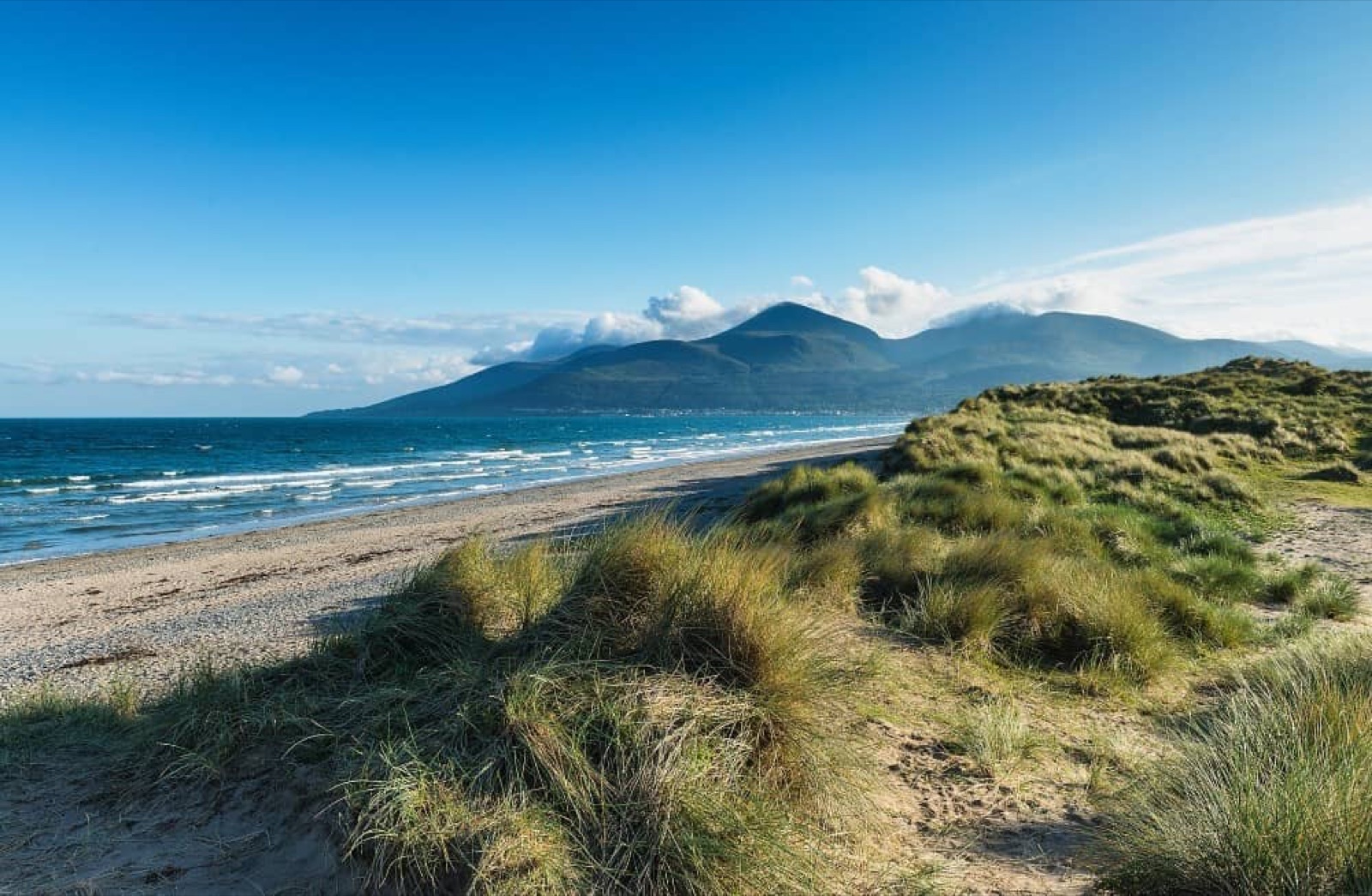 Marram-grass dunes and a wide sandy beach at Murlough, with the Mourne Mountains rising across the bay under a blue sky