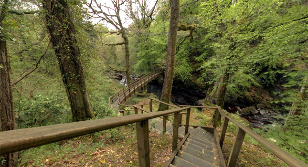 Wooden steps and a footbridge descending into the wooded Ness river gorge, dense green trees all around