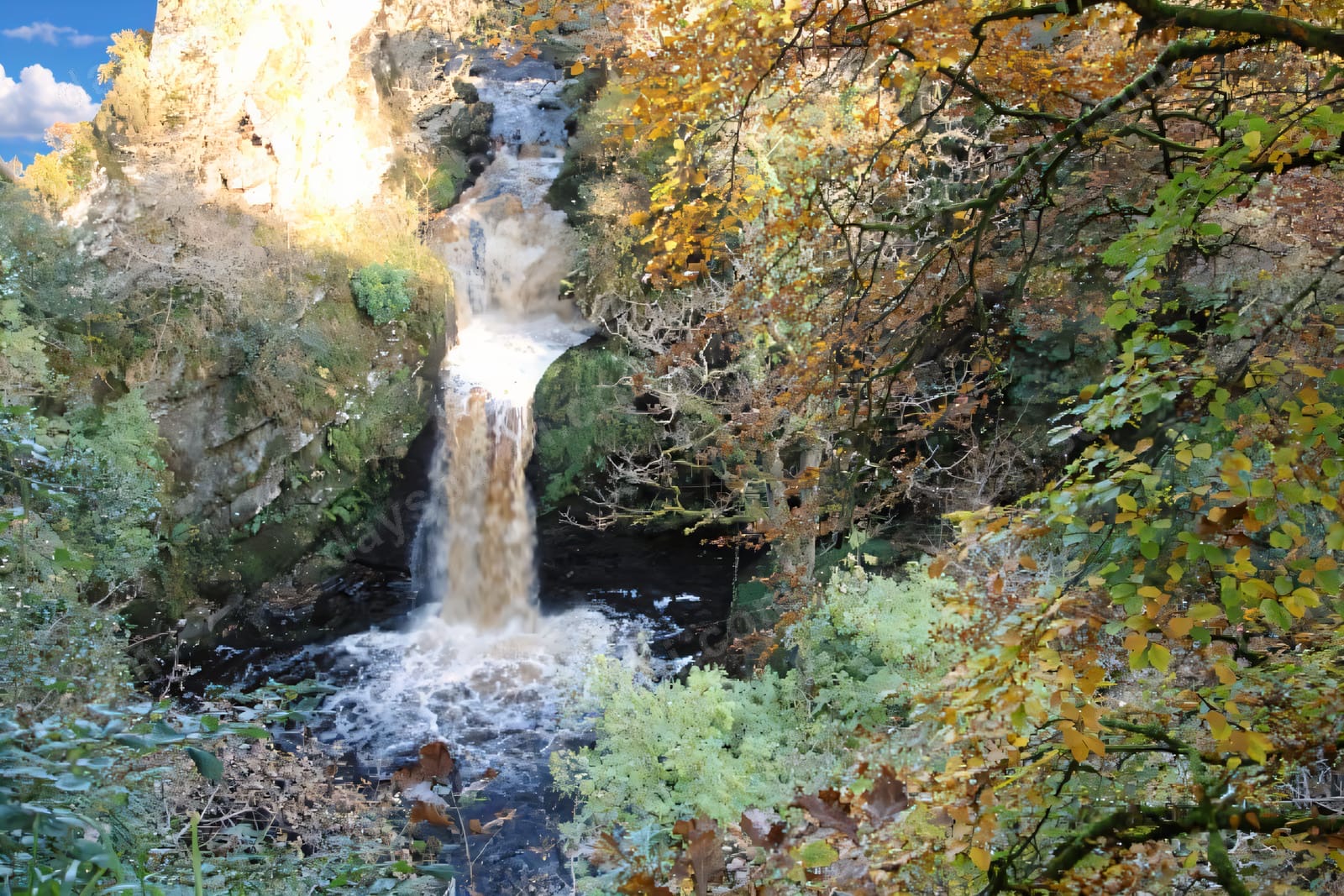 The Ness Waterfall tumbling down a rocky wooded gorge in autumn colour, the River Burntollet frothing white below