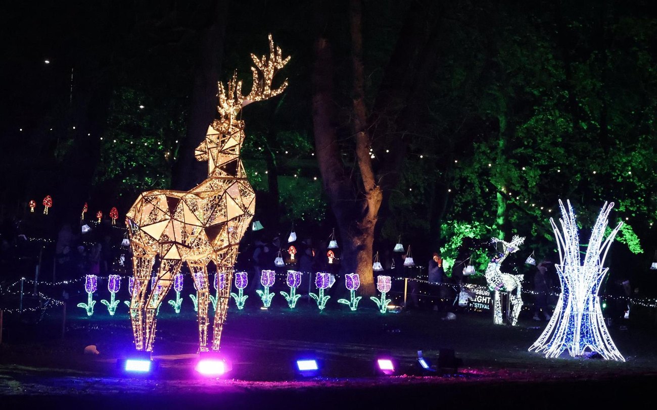 A free Christmas light trail glowing through Lisburn's Castle Gardens