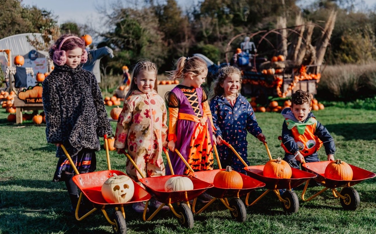 Children choosing pumpkins from a wooden crate at The Ark Open Farm