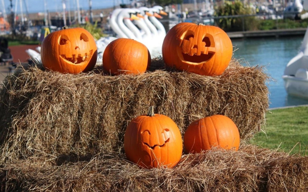The swan pedal boats at Pickie Fun Park with pumpkins on the Bangor promenade