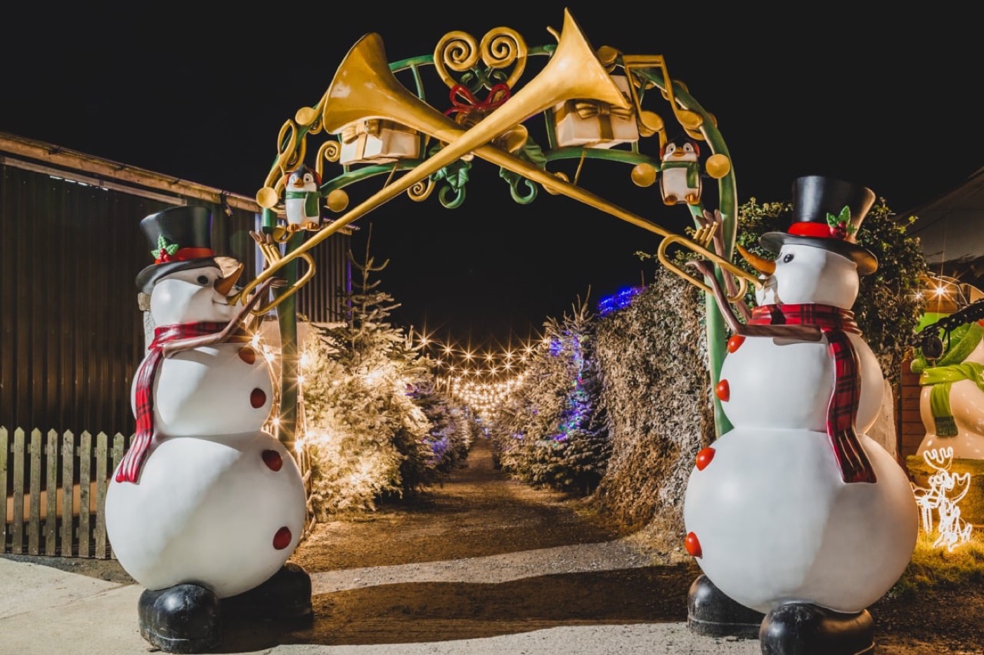 A lantern-lit path through a winter wonderland at The Ark Open Farm