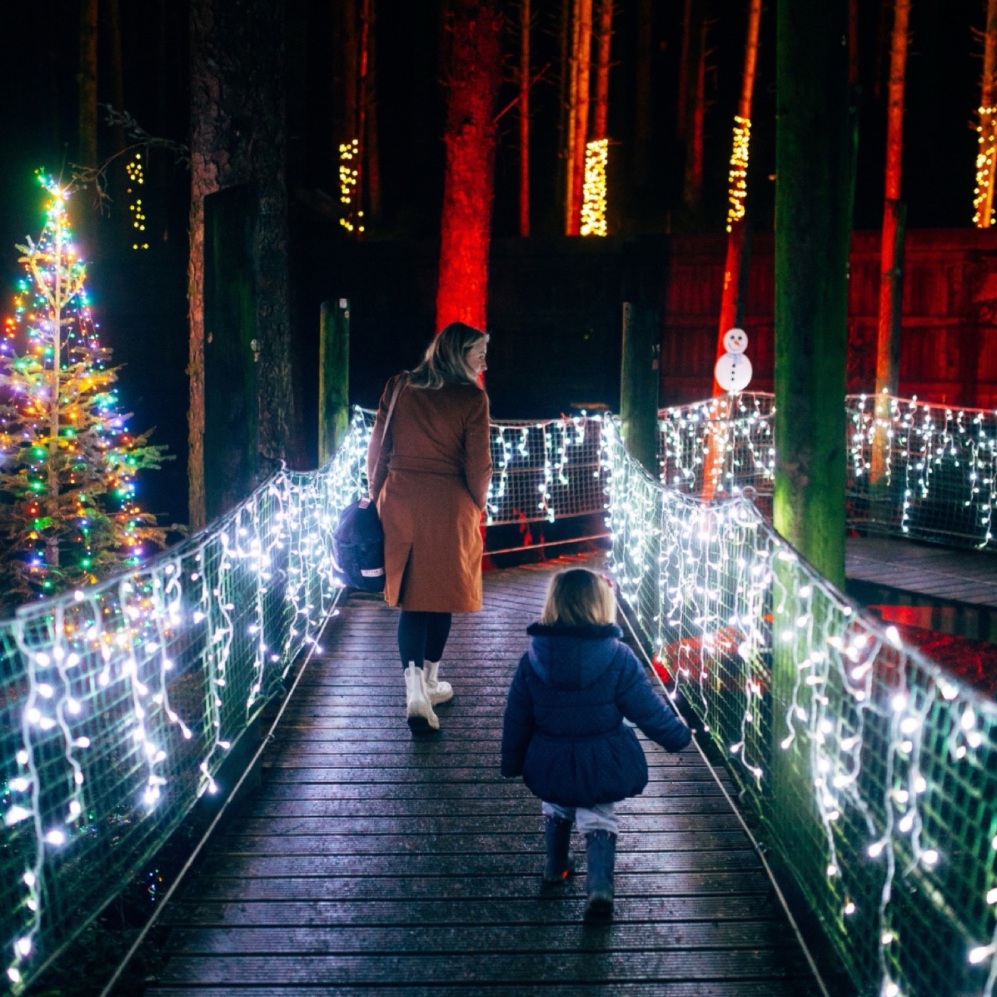 The Jungle Express haycart ride through festive lights at The Jungle NI