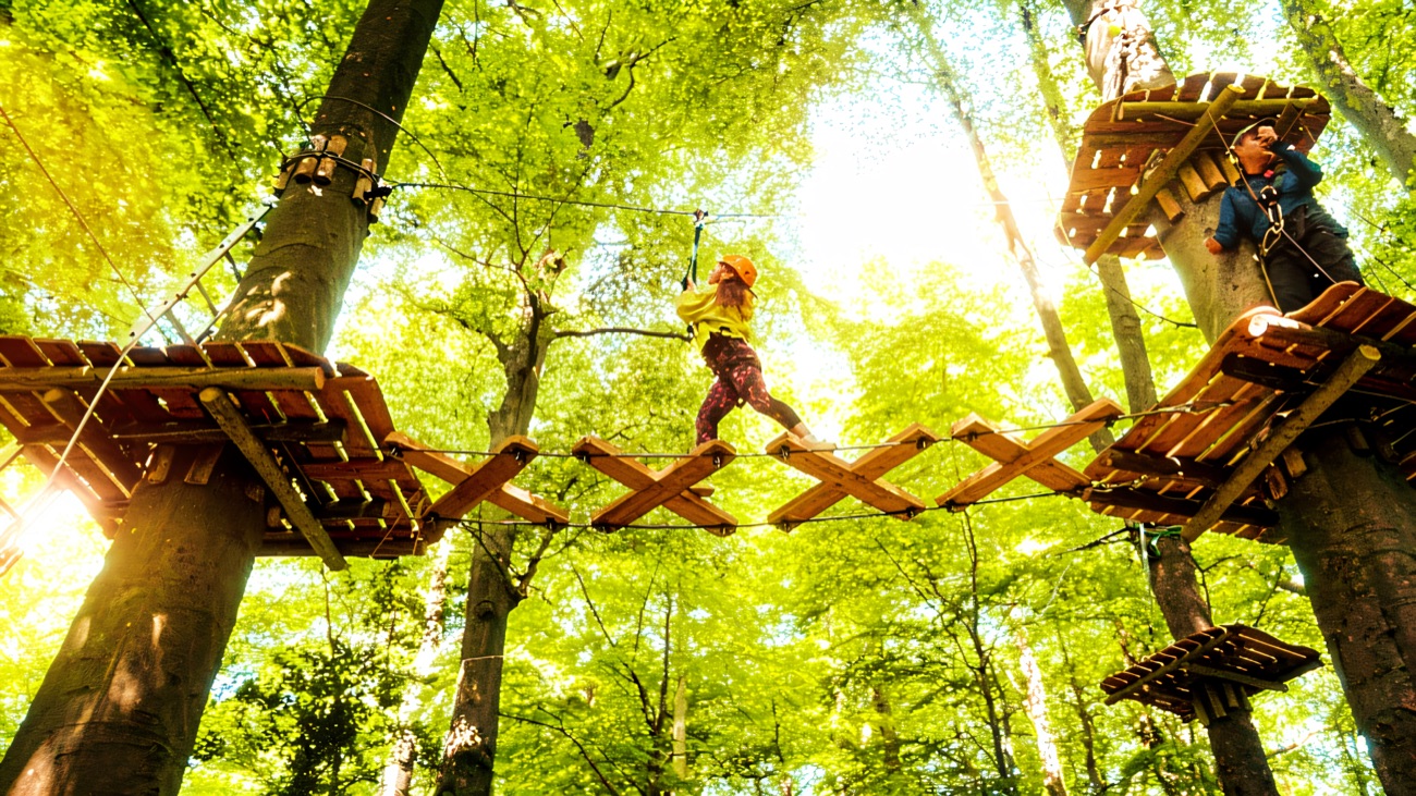 A young climber crossing a wobbly rope bridge high in the trees on a tree-trek course
