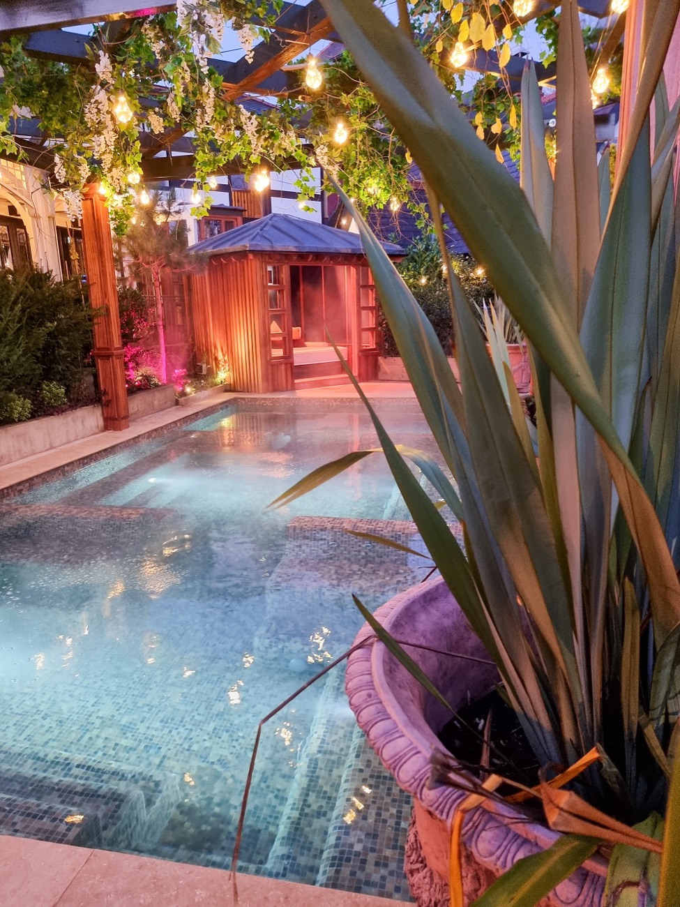 Steam rising off the outdoor pool in the warm evening light, planting close to the water's edge.