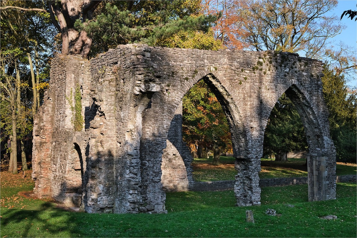The Gothic arches of the ruined Franciscan friary in the parkland