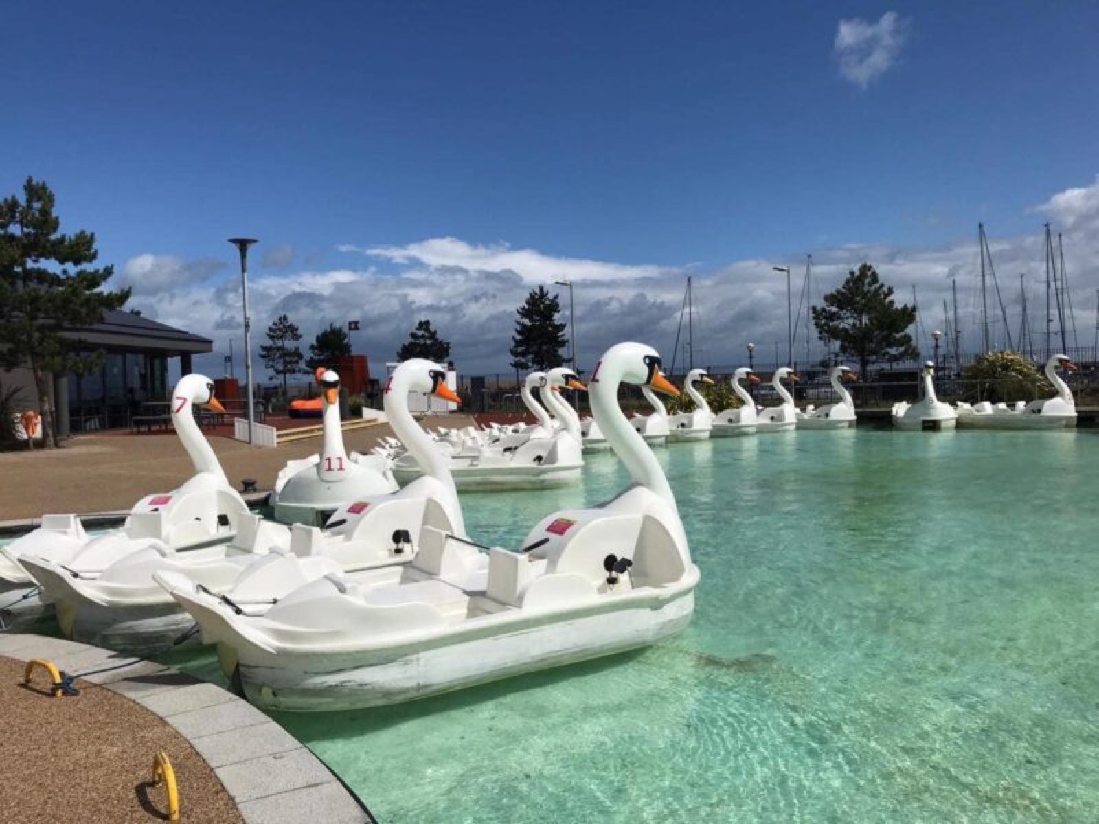 A row of the famous giant white swan pedal boats moored on turquoise water at Pickie Funpark