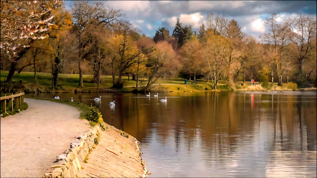 The lake and woodland path at Hillsborough Forest