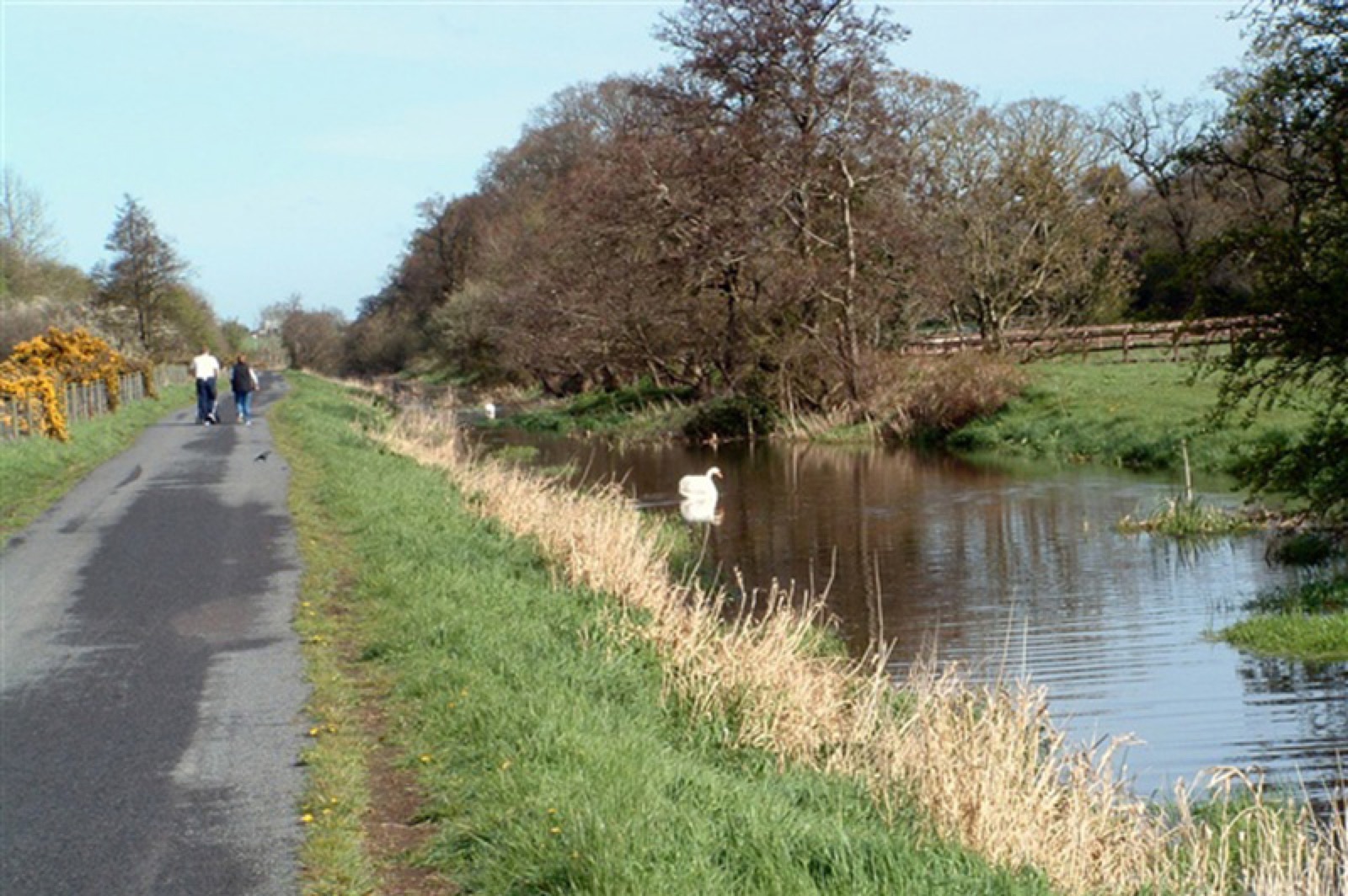 The Newry Canal towpath at Scarva village