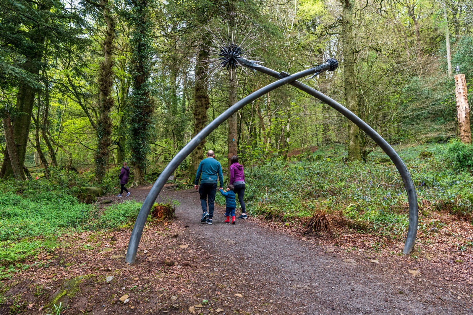 A family on the Giant's Lair trail at Slieve Gullion Forest Park outside Newry