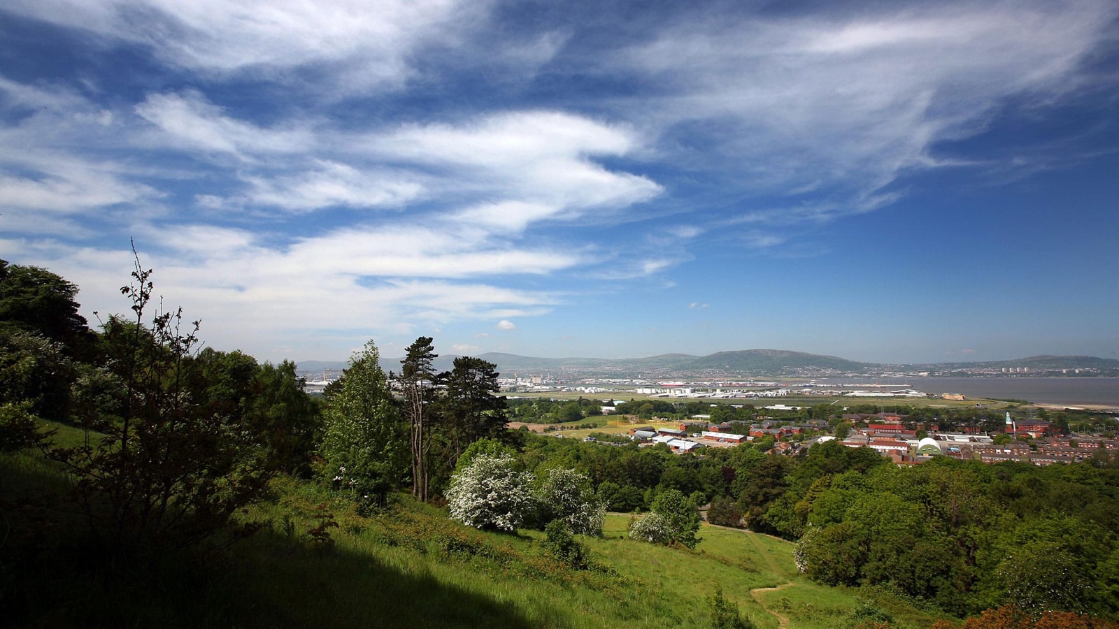 View from the grassy hillside of Redburn Country Park over trees to Belfast Lough and the Antrim hills under a blue summer sky