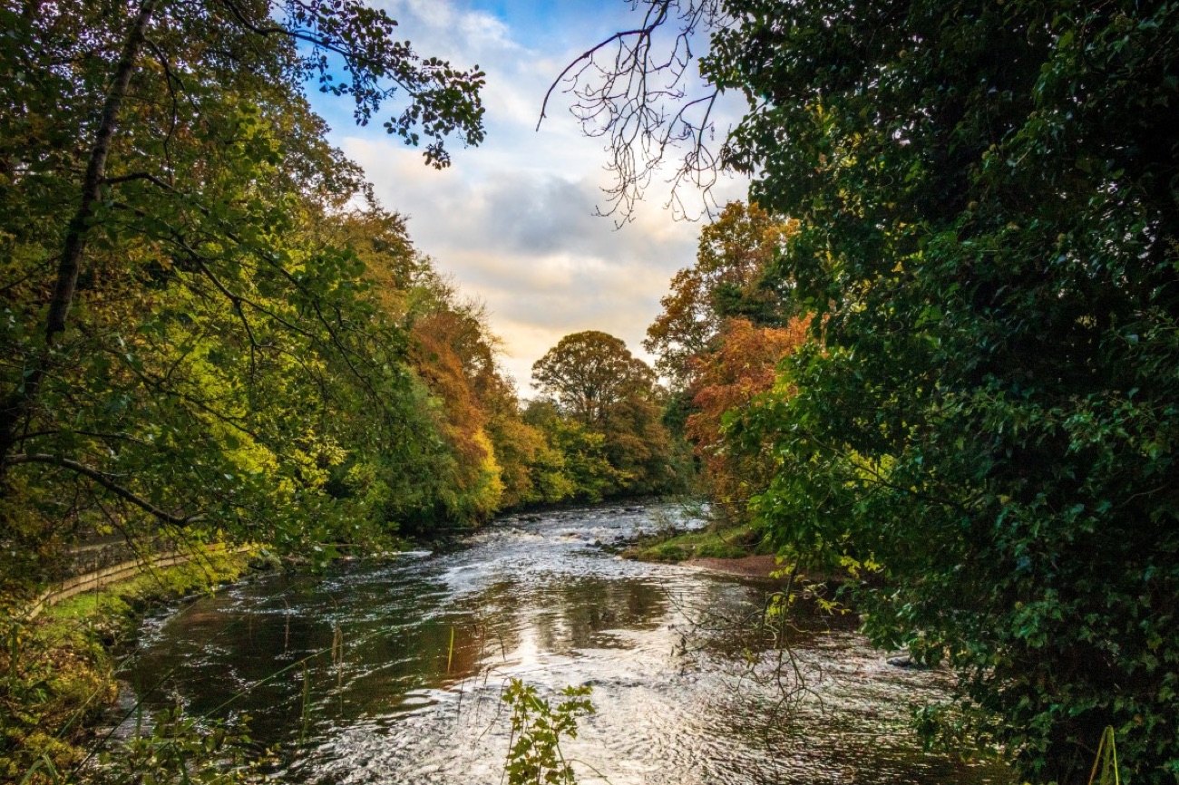 The River Roe flowing through wooded parkland near the resort
