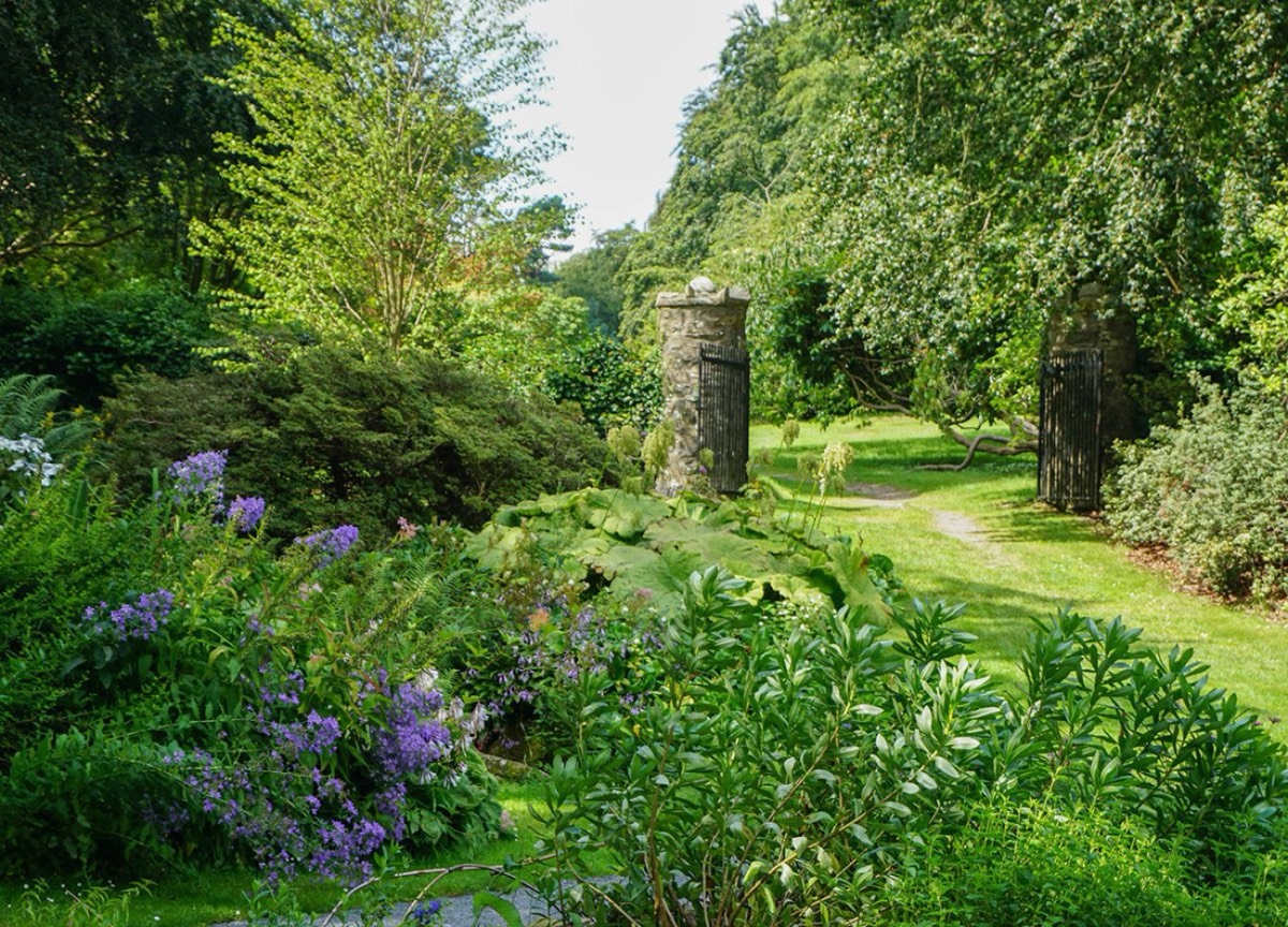 Rolling parkland and mature trees across the demesne