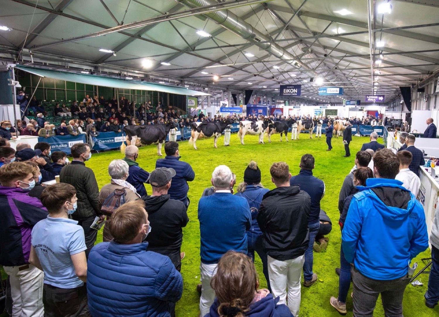 Crowds gathered around the dairy cattle showing ring at the Royal Ulster Winter Fair in the Eikon Exhibition Centre