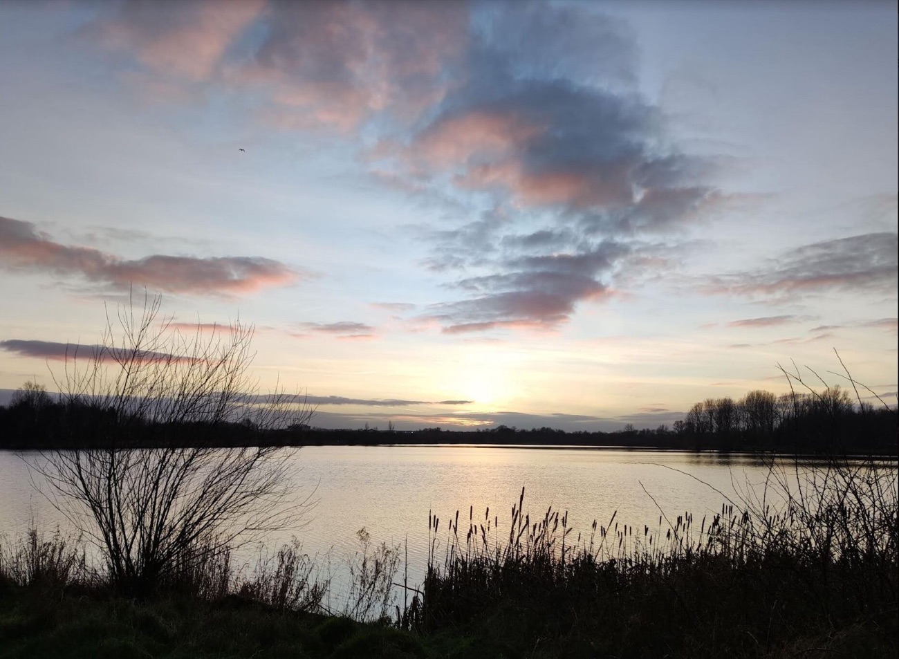 Craigavon Lakes at dusk with reeds in the foreground and a soft pink sky reflected in the still water — the city park right next door to Rushmere