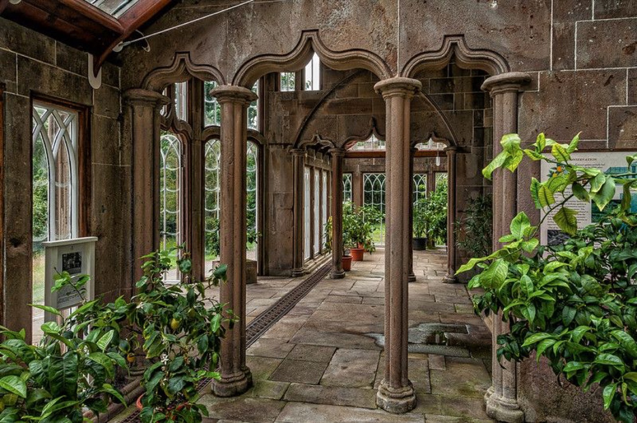 Inside the Gothic Camellia House conservatory