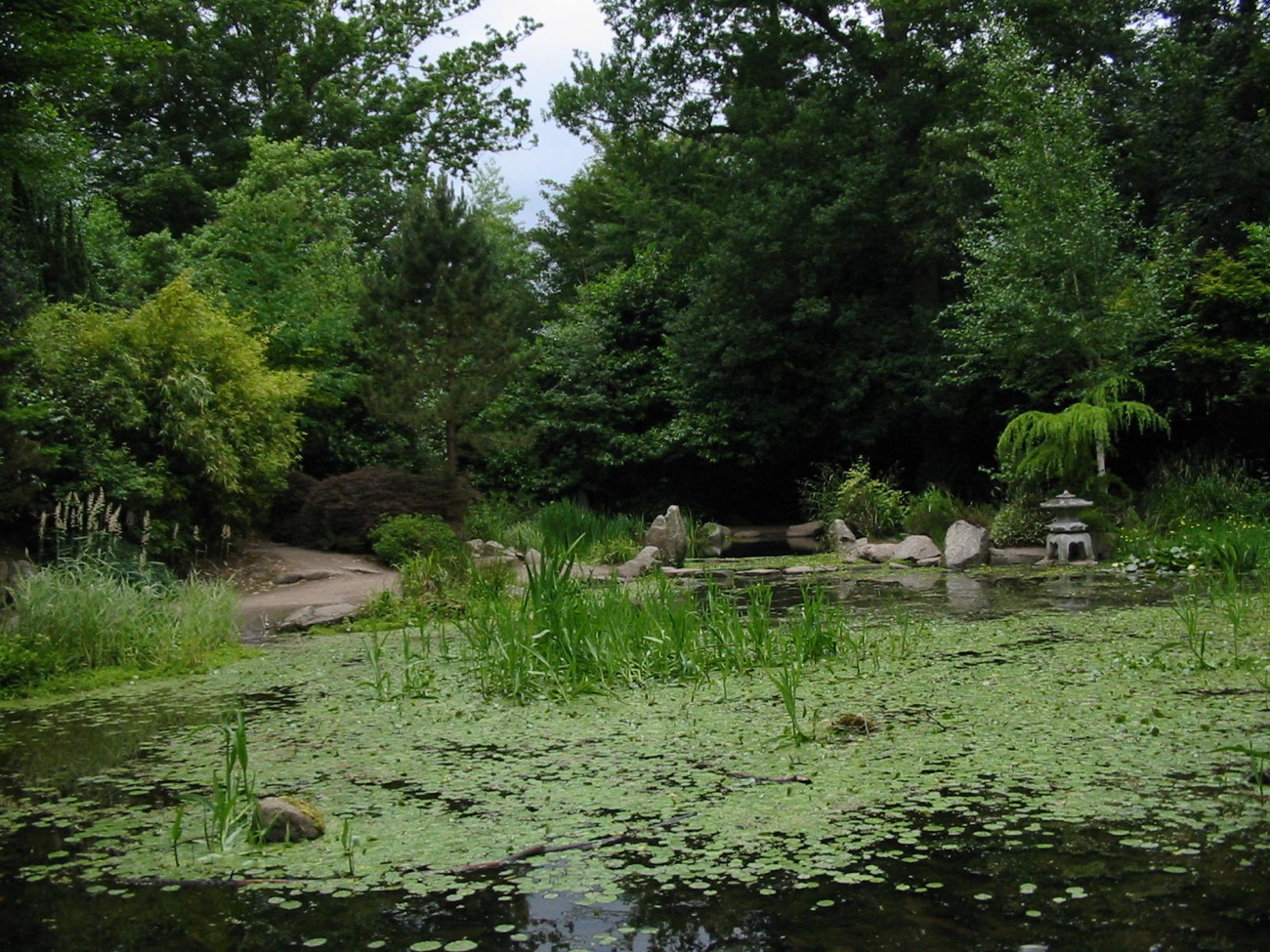 Japanese-style garden pond and stone lantern at Dixon Park