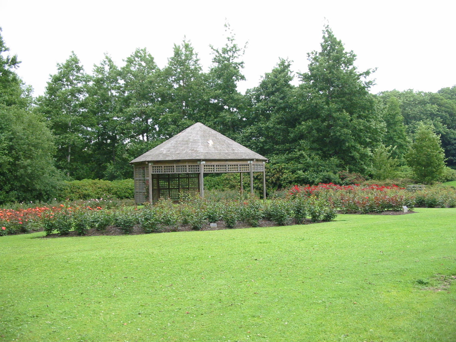 City of Belfast International Rose Garden pavilion and rose beds at Sir Thomas and Lady Dixon Park
